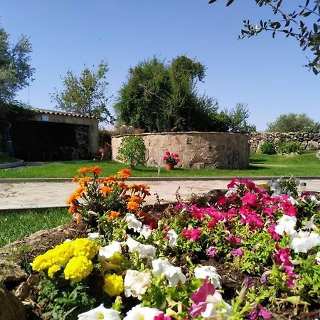 El Lagar Del Abuelo En Los Arribes Del Duero, Badilla, Zamora Eksteriør billede