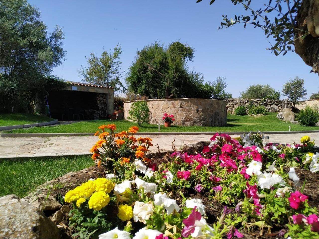 El Lagar Del Abuelo En Los Arribes Del Duero, Badilla, Zamora Eksteriør billede