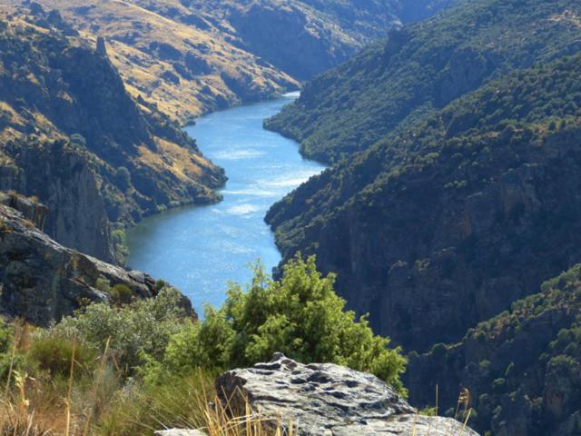 El Lagar Del Abuelo En Los Arribes Del Duero, Badilla, Zamora Eksteriør billede
