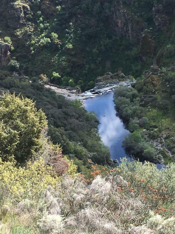 El Lagar Del Abuelo En Los Arribes Del Duero, Badilla, Zamora Eksteriør billede